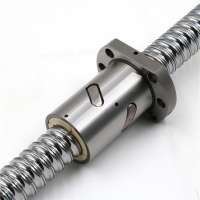 CNC Linear Ball Screw SFU1605 for Linear Actuator